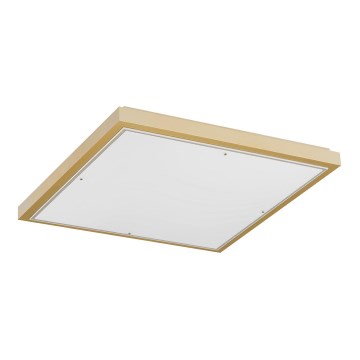 Argon 1802 - Ceiling light CARLSON 4xE27/15W/230V 39x39 cm gold