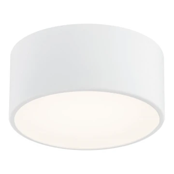 Argon 3885 - LED Ceiling light VICHY LED/13,5W/230V white