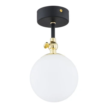 Argon 4003 - Bathroom surface-mounted chandelier LATINA 1xE14/7W/230V IP44 black/brass