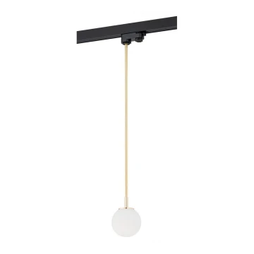 Argon 4308 - Chandelier on a pole to the rail system BANG 1xG9/6W/230V brass