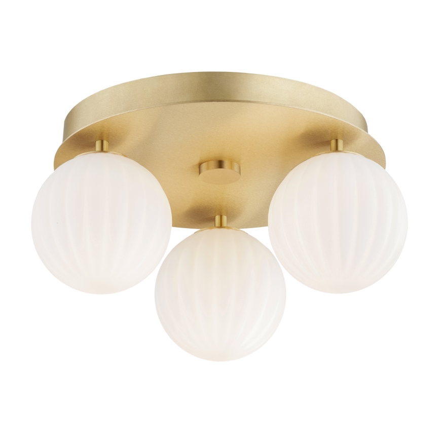 Argon 6305 - Ceiling light PALOMA 3xE14/7W/230V gold/white