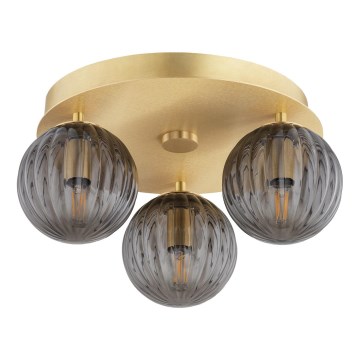 Argon 6308 - Ceiling light PALOMA 3xE14/7W/230V gold/black