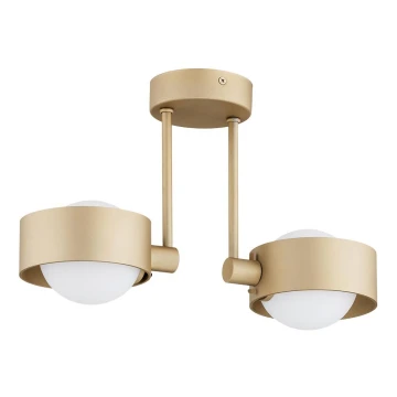 Argon 7215 - Bathroom chandelier on a pole MASSIMO PLUS 2xG9/6W/230V IP44 gold