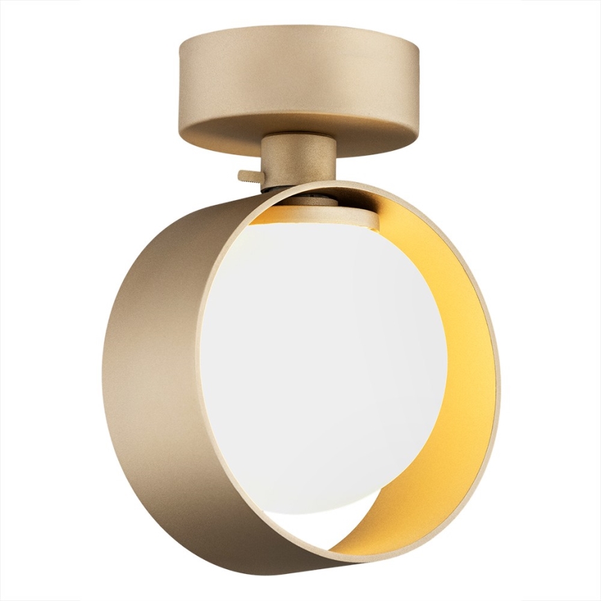 Argon 8567 - Bathroom wall light MASSIMO PLUS 1xG9/6W/230V IP44 gold