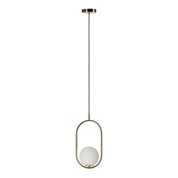 Azzardo AZ4981 - Chandelier on a string COCO 1xG9/50W/230V