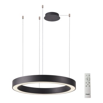 Azzardo AZ5044 - LED Dimmable chandelier on a string MARCO LED/50W/230V black + remote control