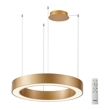 Azzardo AZ5045 - LED Dimmable chandelier on a string MARCO LED/50W/230V gold + remote control