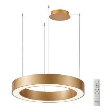 Azzardo AZ5048 - LED Dimmable chandelier on a string MARCO LED/60W/230V gold + remote control