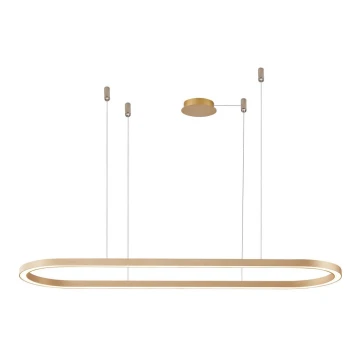 Azzardo AZ5056 - LED Dimmable chandelier on a string ELENA LED/50W/230V 120 cm gold