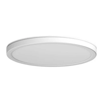 Azzardo AZ5365 -LED Dimmable ceiling light PANKA LED/24W/230V IP40 white