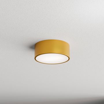 Bathroom ceiling light CLEO 1xE27/24W/230V d. 20 cm gold IP54