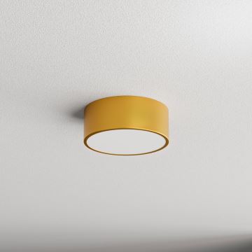 Bathroom ceiling light CLEO 1xE27/24W/230V d. 20 cm gold IP54