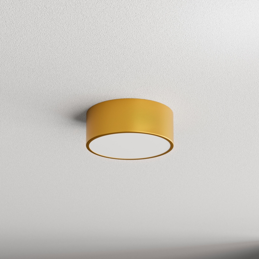 Bathroom ceiling light CLEO 1xE27/24W/230V d. 20 cm gold IP54