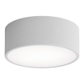 Bathroom ceiling light CLEO 1xE27/24W/230V d. 20 cm grey IP54