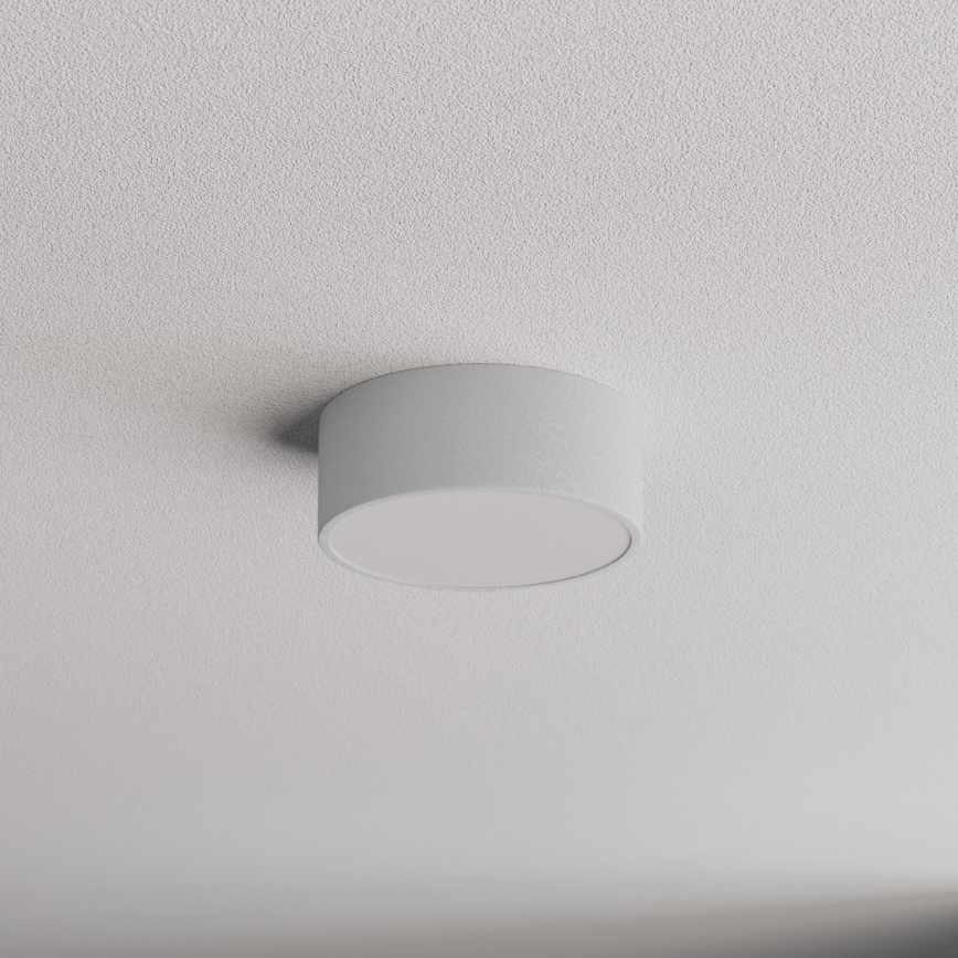 Bathroom ceiling light CLEO 1xE27/24W/230V d. 20 cm grey IP54