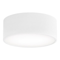 Bathroom ceiling light CLEO 1xE27/24W/230V d. 20 cm white IP54