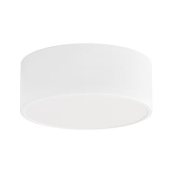 Bathroom ceiling light CLEO 1xE27/24W/230V d. 20 cm white IP54