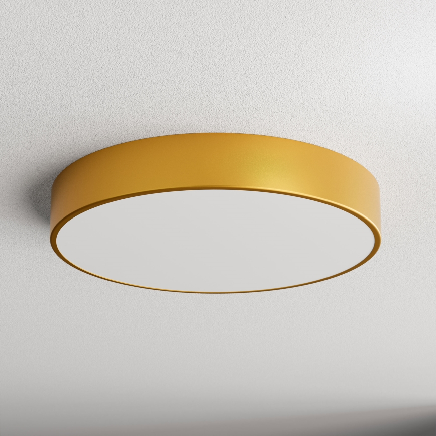 Bathroom ceiling light CLEO 4xE27/24W/230V d. 50 cm gold IP54