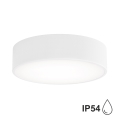 Bathroom ceiling light with a sensor CLEO 2xE27/24W/230V d. 30 cm white IP54