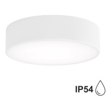 Bathroom ceiling light with a sensor CLEO 2xE27/24W/230V d. 30 cm white IP54
