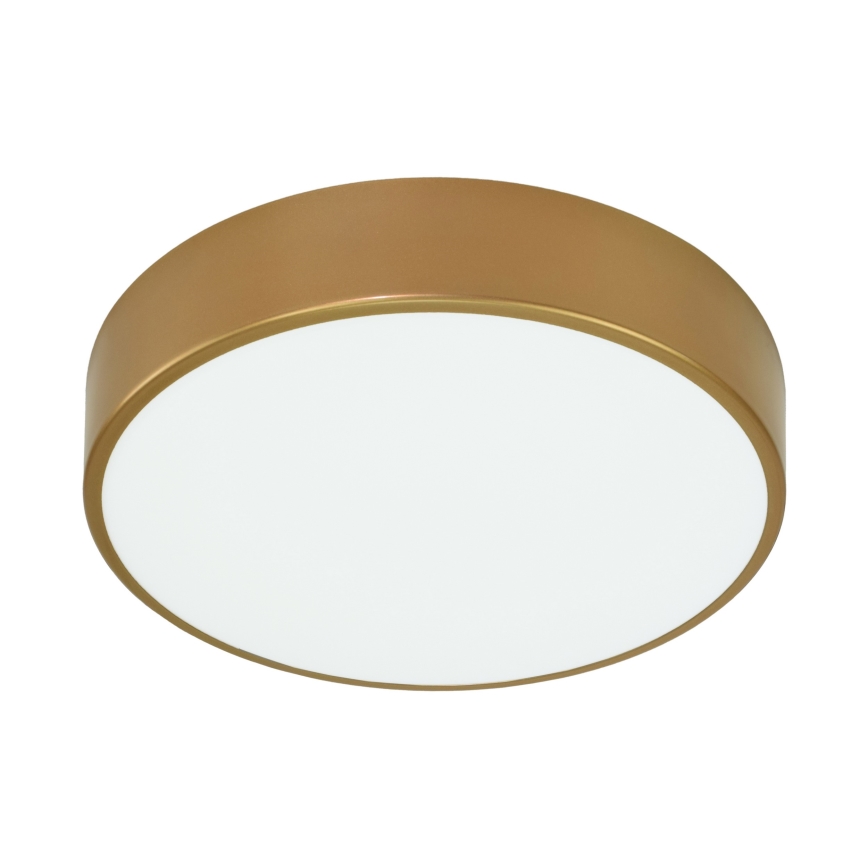 Brilagi - Bathroom ceiling light CLARE 3xE27/24W/230V d. 40 cm IP54 gold