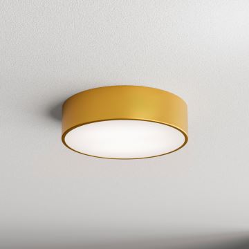 Brilagi - Ceiling light CLARE 2xE27/24W/230V d. 30 cm gold