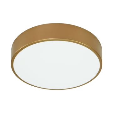 Brilagi - Ceiling light with sensor CLARE 3xE27/24W/230V d. 40 cm gold