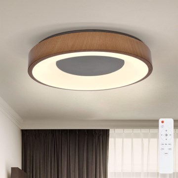 Brilagi - LED Dimmable ceiling light DORIA LED/48W/230V 3000-6500K d. 39 cm + remote control