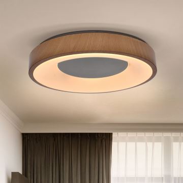 Brilagi - LED Dimmable ceiling light DORIA LED/48W/230V 3000-6500K d. 39 cm + remote control