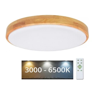 Brilagi - LED Dimmable ceiling light PINE LED/24W/230V 3000-6500K + remote control
