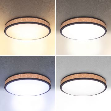 Brilagi - LED Dimmable ceiling light ROSA LED/48W/230V 3000-6500K d. 38 cm + remote control