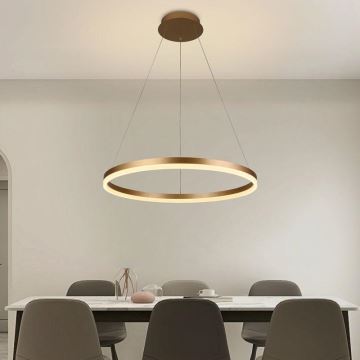 Brilagi - LED Dimmable chandelier on a string CIRCLE LED/42W/230V 3000-6500K + remote control