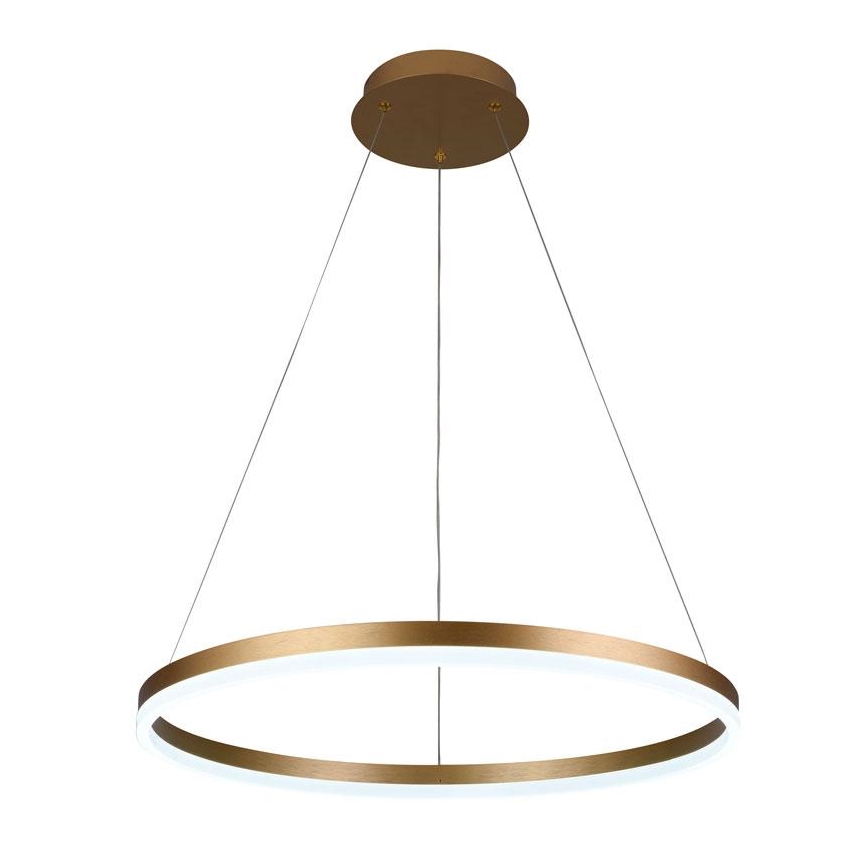 Brilagi - LED Dimmable chandelier on a string CIRCLE LED/42W/230V 3000-6500K + remote control