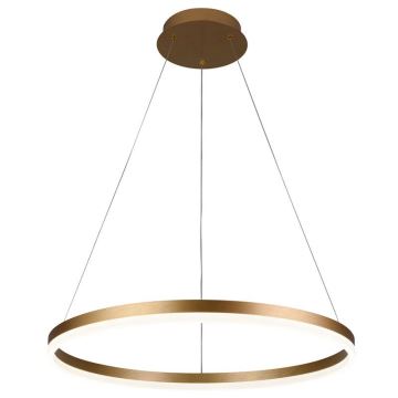 Brilagi - LED Dimmable chandelier on a string CIRCLE LED/42W/230V 3000-6500K + remote control