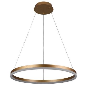 Brilagi - LED Dimmable chandelier on a string CIRCLE LED/42W/230V 3000-6500K + remote control