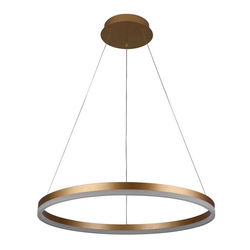 Brilagi - LED Dimmable chandelier on a string CIRCLE LED/42W/230V 3000-6500K + remote control