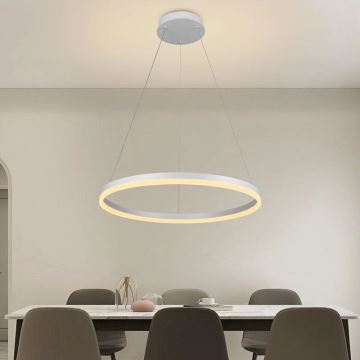 Brilagi - LED Dimmable chandelier on a string CIRCLE LED/42W/230V 3000-6500K + remote control