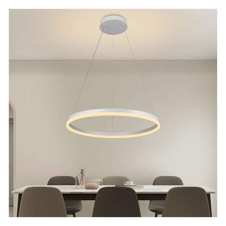 Brilagi - LED Dimmable chandelier on a string CIRCLE LED/42W/230V 3000-6500K + remote control