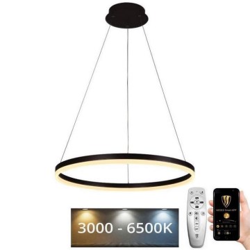 Brilagi - LED Dimmable chandelier on a string CIRCLE LED/42W/230V 3000-6500K + remote control