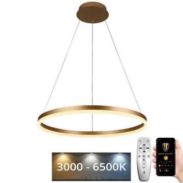 Brilagi - LED Dimmable chandelier on a string CIRCLE LED/42W/230V 3000-6500K + remote control