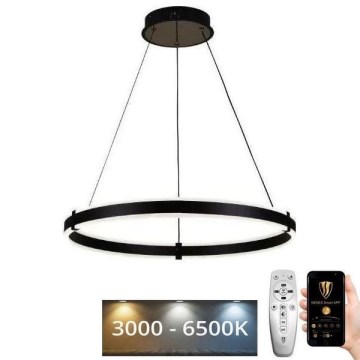 Brilagi - LED Dimmable chandelier on a string CIRCLE LED/85W/230V 3000-6500K black + remote control