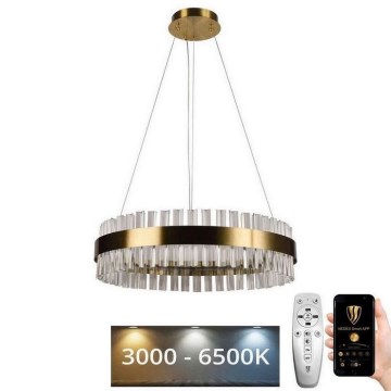 Brilagi - LED Dimmable crystal chandelier on a string HALO LED/40W/230V + remote control