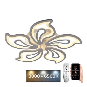 Brilagi - LED Dimmable surface-mounted chandelier TWIST LED/125W/230V 3000-6500K + remote control