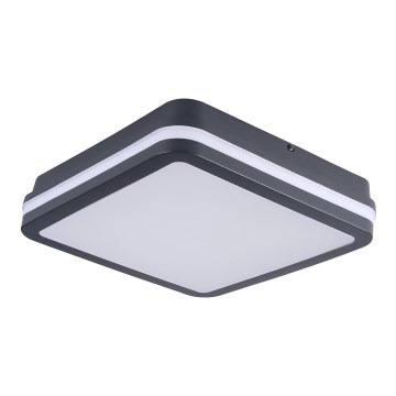 Brilagi - LED Outdoor light BENE LED/24W/230V 26x26 cm anthracite IP54