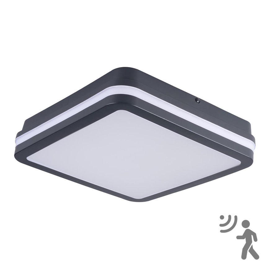 Brilagi - LED Outdoor light with sensor BENE LED/24W/230V 26x26 cm anthracite IP54