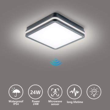 Brilagi - LED Outdoor light with sensor BENE LED/24W/230V 26x26 cm anthracite IP54