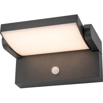 Brilagi - LED Outdoor wall light with a sensor ANKLE LED/12,5W/230V IP54