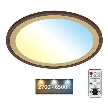 Brilo - LED Dimmable ceiling light SLIM LED/22W/230V 2700-6500K + remote control