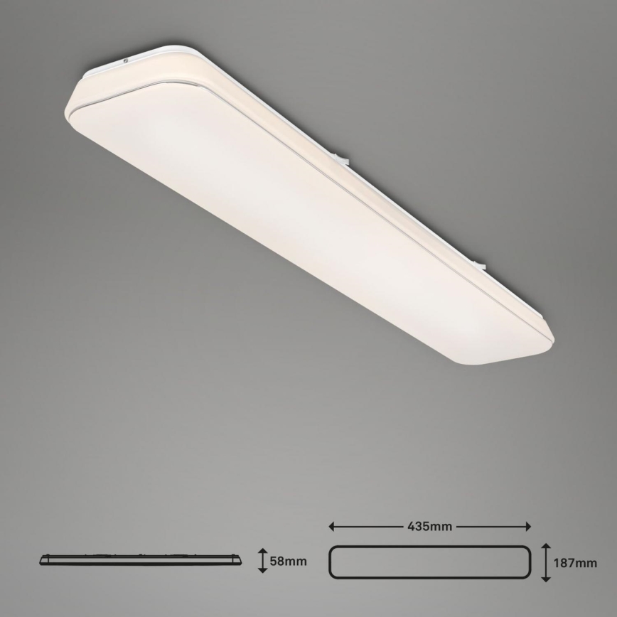 Briloner 3042-016 - LED Dimmable ceiling light RUPA LED/48W/230V