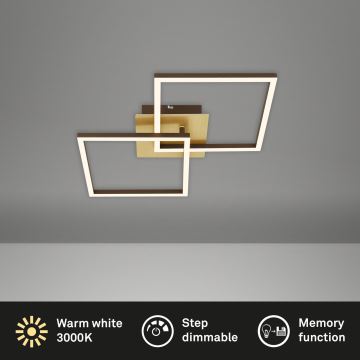 Briloner 3210-017 - LED Dimmable ceiling light FRAME 2xLED/11W/230V gold